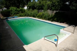 What is the best way to get rid of Algae in the pool?