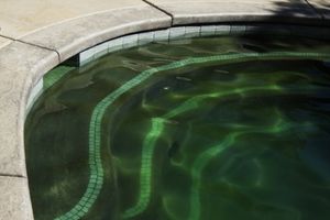 My pool is green. What to do now?