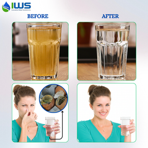 Iron Buster- Remove Iron, Rust Stains, & Metallic Taste
