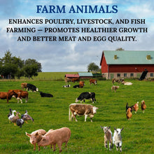 Load image into Gallery viewer, Active Cells Probotics® - The Most Potent Probiotic for Wastewater Treatment