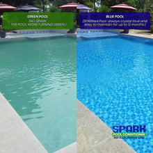 Load image into Gallery viewer, Spark Pool Conditioner -  Your Ultimate Guard Against Algae